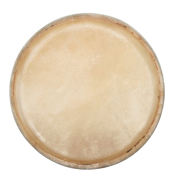 PURE GEWA Club Salsa Conga Heads - Premium Replacement Skins (10", 11", 11.75", 12.5") - Ev - Entz Music