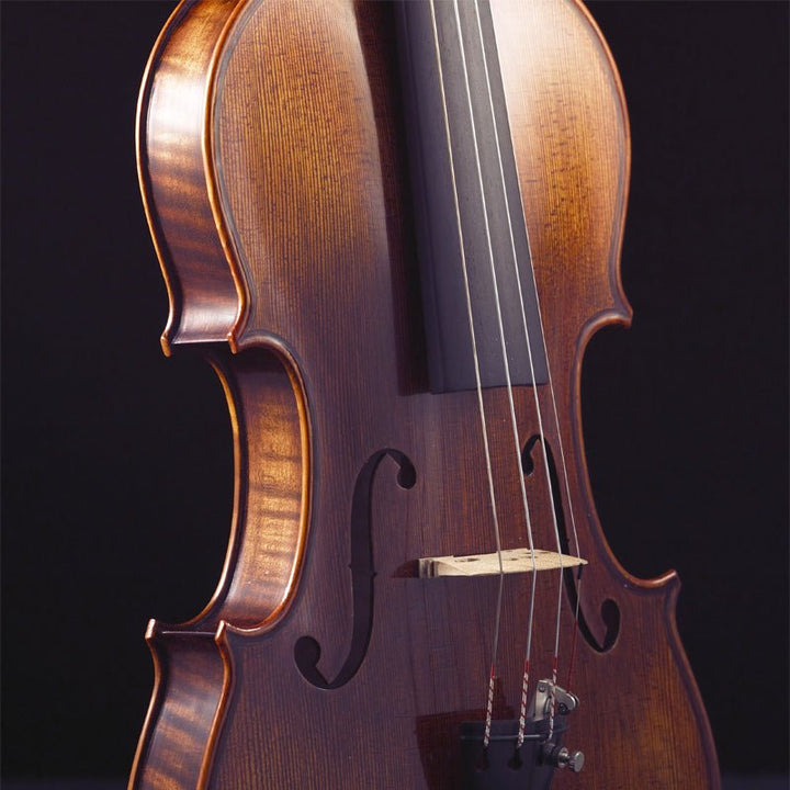 Stentor Arcadia Violin - Ev - Entz Music