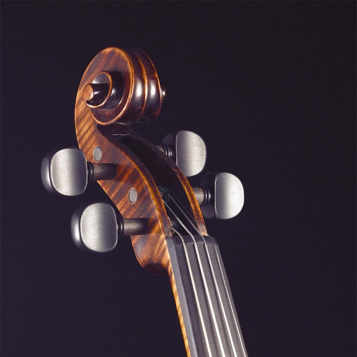 Stentor Arcadia Violin - Ev - Entz Music