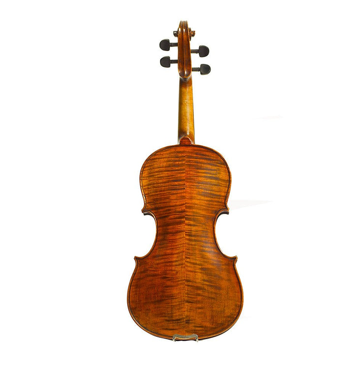 Stentor Arcadia Violin - Ev - Entz Music