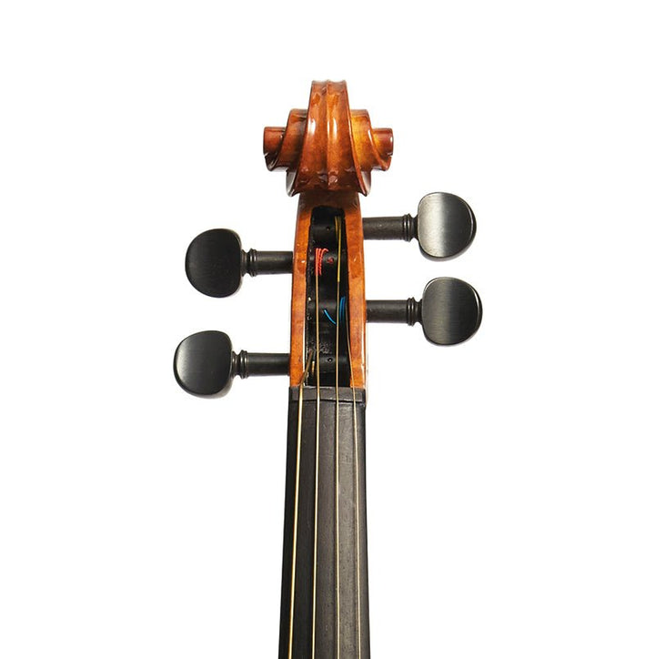 Stentor Conservatoire viola outfit - Ev - Entz Music