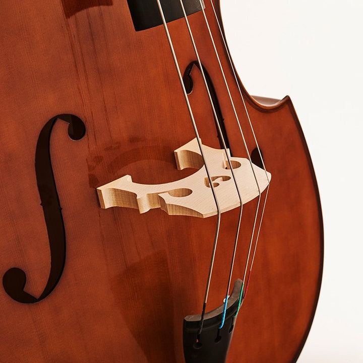 Stentor Student Double Bass - Affordable Entry - Level Bass for Students - Ev - Entz Music