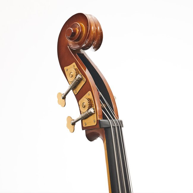 Stentor Student Double Bass - Affordable Entry - Level Bass for Students - Ev - Entz Music