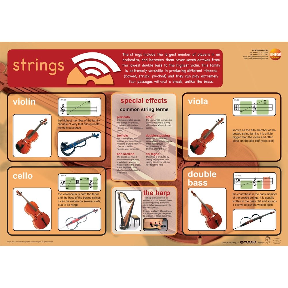 Stringed instruments educational poster - Genesis Images... – Ev-Entz Music