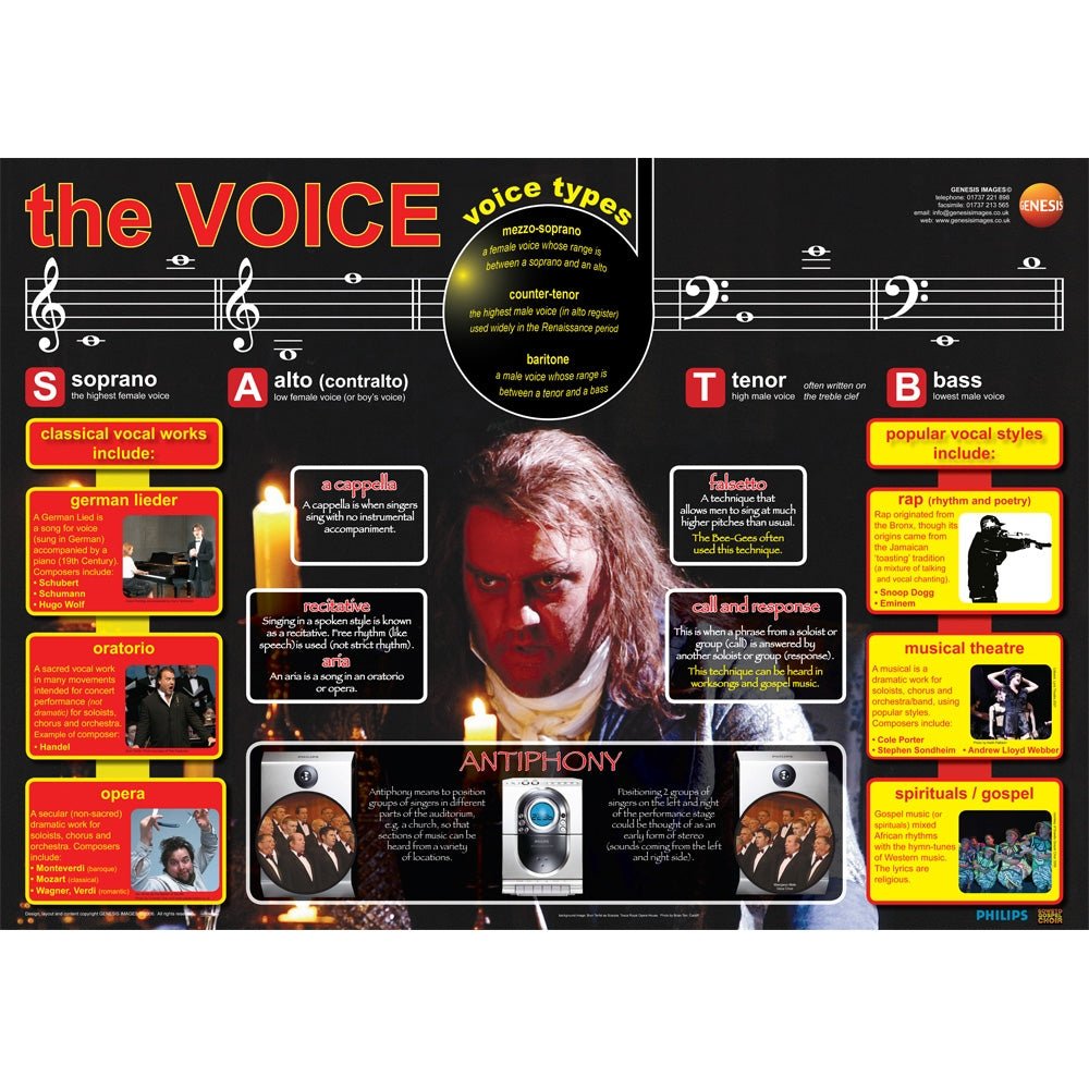 The human voice educational poster - Genesis Images - GNS-26 – Ev-Entz ...