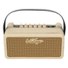 Vintage Retro 15w Guitar Amplifier with DSP Effects – 4 Built - in Effects, Adjustable Tone, USB Connectivity (Vintage White) - Ev - Entz Music