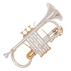 Odyssey Premiere 'Eb' Soprano Cornet with Silver-Plated Body and Gold-Lacquered Parts