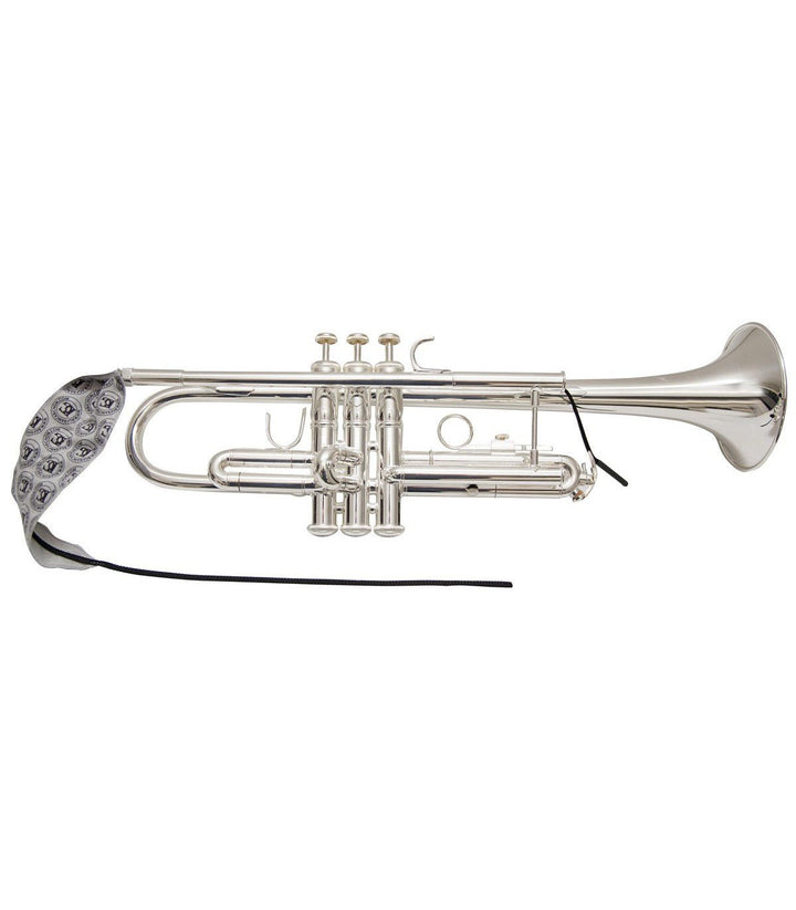 BG A31TBG A31T Trumpet Lead pipe swab - Ev - Entz Music