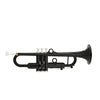 pTrumpet hyTech