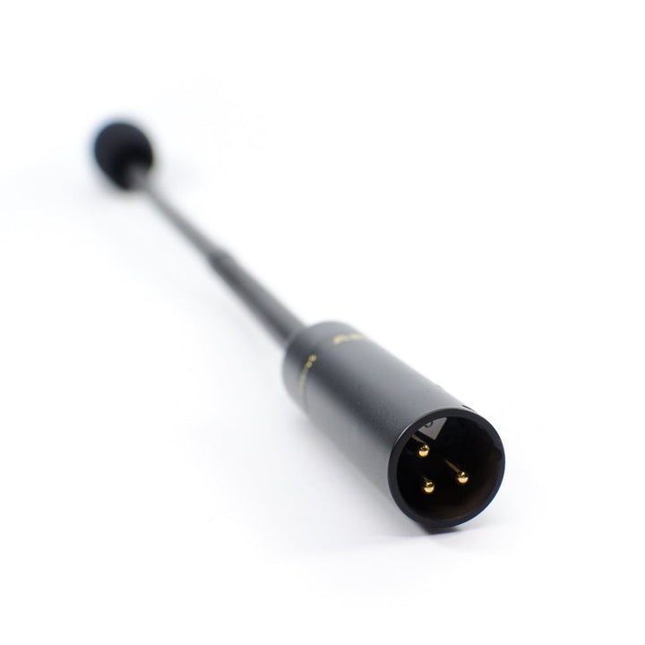 CAD Astatic 15" Condenser Cardioid Mini Gooseneck Microphone - Ev - Entz Music