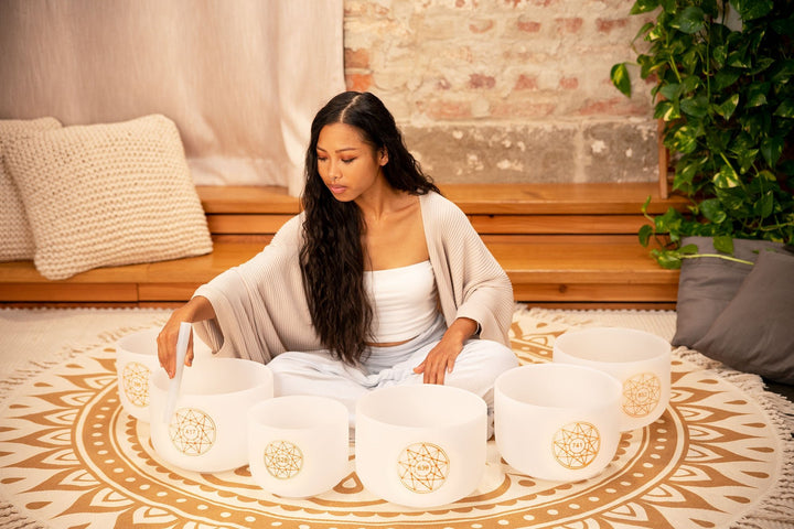 Meinl Sonic Energy 8" Solfeggio Crystal Singing Bowl - Mi 528 Hz, White Frosted Quartz for Solar Plexus Chakra Healing - Ev - Entz Music