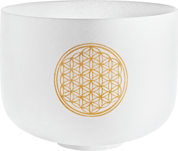 MEINL Sonic Energy Crystal Singing Bowl, Flower of Life 128 Hz, 10" / 25 cm - Ev - Entz Music