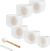 MEINL Sonic Energy Solfeggio Crystal Singing Bowl Set - Ev - Entz Music
