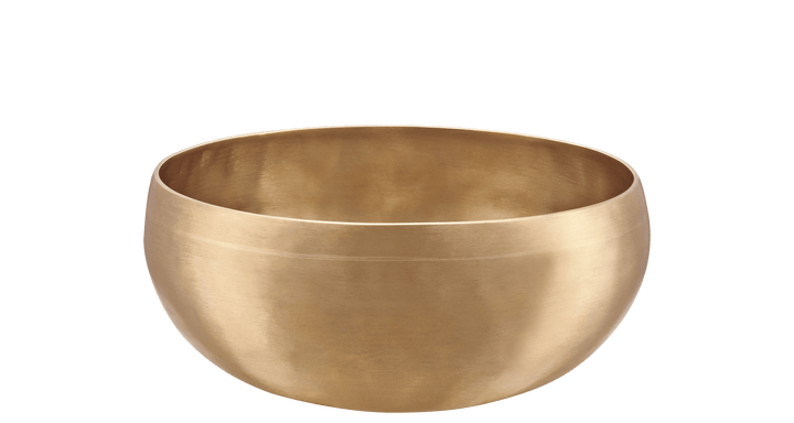 MEINL Sonic Energy Synthesis Series Flower of Life Singing Bowl - 1000g - Ev - Entz Music