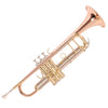 Odyssey Premiere Bb Trumpet Outfit – Rose Brass Bell & Case - Ev - Entz Music